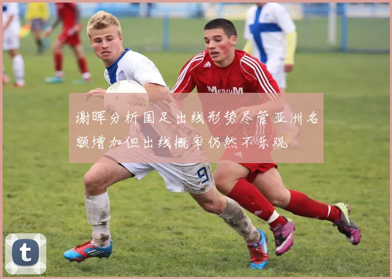 谢晖分析国足出线形势尽管亚洲名额增加但出线概率仍然不乐观