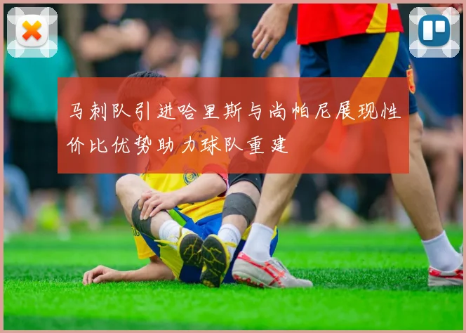 马刺队引进哈里斯与尚帕尼展现性价比优势助力球队重建